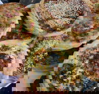 The Re Store Northbridge - Great Ocean Road Tourism