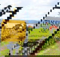 Tranquil Vale Vineyard