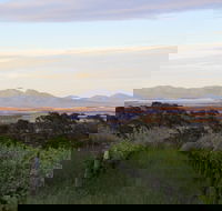 Castle Rock Estate Winery