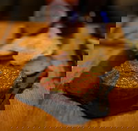 Hell of the North - Great Ocean Road Tourism