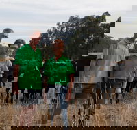 Milawa Organic Beef - Great Ocean Road Tourism