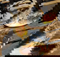 Perso - Great Ocean Road Tourism