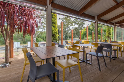 The Duck - Great Ocean Road Tourism 1