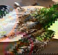 Thien An - Great Ocean Road Tourism