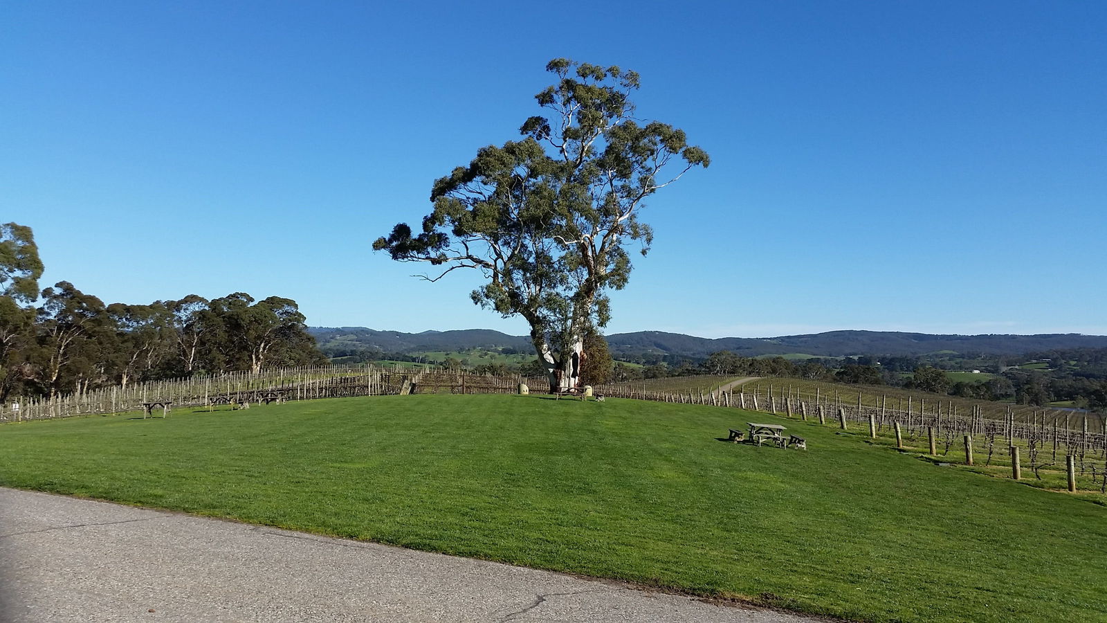 Great Ocean Road Tourism