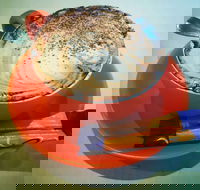 Phillips  Co - Great Ocean Road Tourism