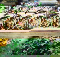 Salud Expresso Bar - Great Ocean Road Tourism