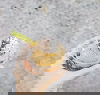  - Great Ocean Road Tourism