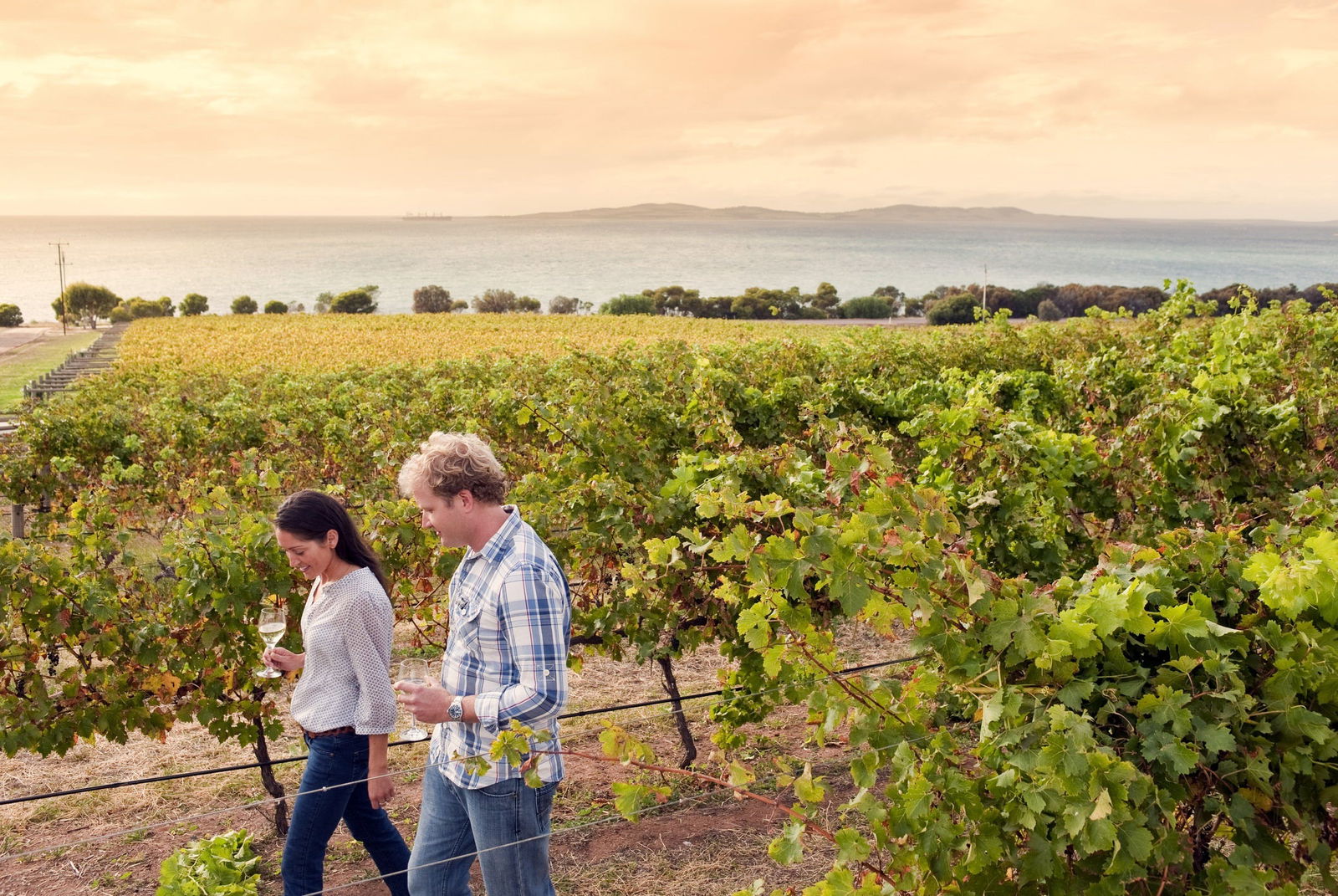 Wangary SA Great Ocean Road Tourism