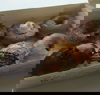 Jesters - 111 St Georges Terrace Perth