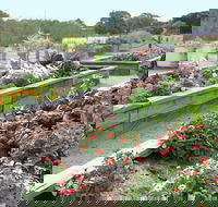 The Farmer's Place - Great Ocean Road Tourism