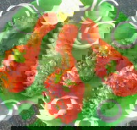 Coconut Lagoon Indian Cuisine - Great Ocean Road Tourism