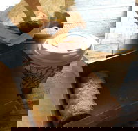 Kunara Organic Cafe - Great Ocean Road Tourism