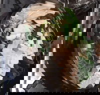 Seoul Buffet Korean BBQ  Steamboat - Victoria Park - Great Ocean Road Tourism