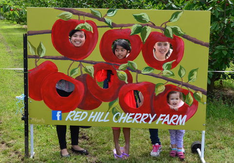 Red Hill Cherry Farm - Great Ocean Road Tourism 1