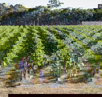 Weathercraft Wines - Great Ocean Road Tourism