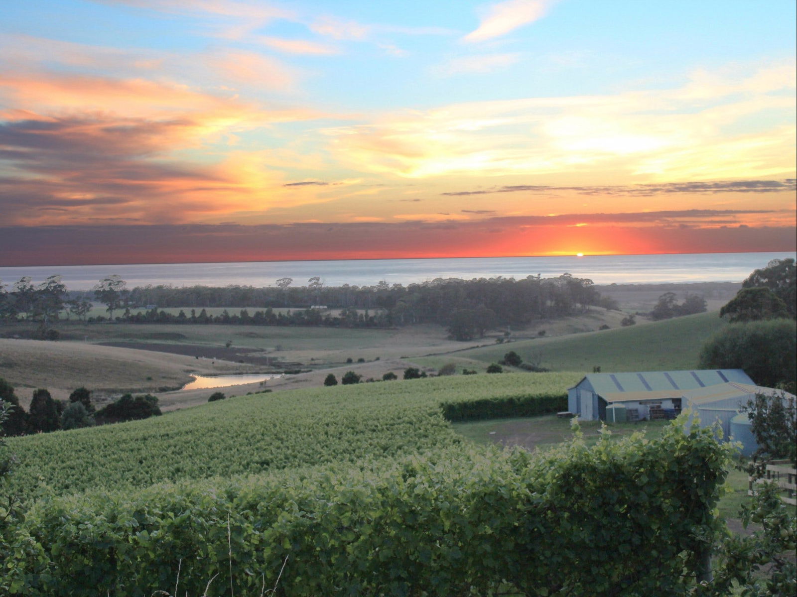 Bream Creek TAS Great Ocean Road Tourism