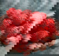 Christmas Hills Raspberry Farm Cafe - Great Ocean Road Tourism