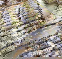 Il Pasticcino - Great Ocean Road Tourism