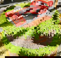 Runaway Cupcakes - Great Ocean Road Tourism