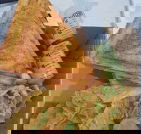 Woogi at Bonissimo - Osborne Park - Great Ocean Road Tourism