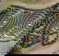 Bago Maze and Wine - Great Ocean Road Tourism