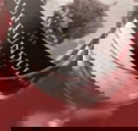 Burrundulla Vineyards - Great Ocean Road Tourism