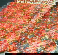 George Street Cafe and Patisserie - Great Ocean Road Tourism