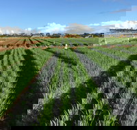 Hawkes Farm - Great Ocean Road Tourism