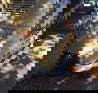 Kombi Koffein - Great Ocean Road Tourism