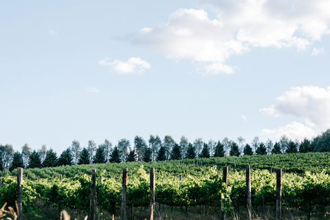 Passing Clouds - Great Ocean Road Tourism 1