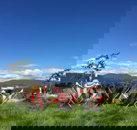 Red Feet Wines - Great Ocean Road Tourism