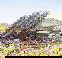 Thistle Hill Wines - Great Ocean Road Tourism