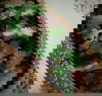 Kapela Fish and Chips