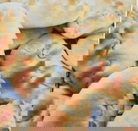 Nasreen's Rockdale Pizza