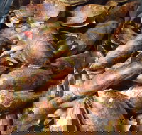 Pacific Eats - Great Ocean Road Tourism