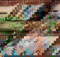 Wilderness Bar - Great Ocean Road Tourism