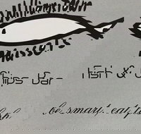 Williamstown Mussels - Great Ocean Road Tourism