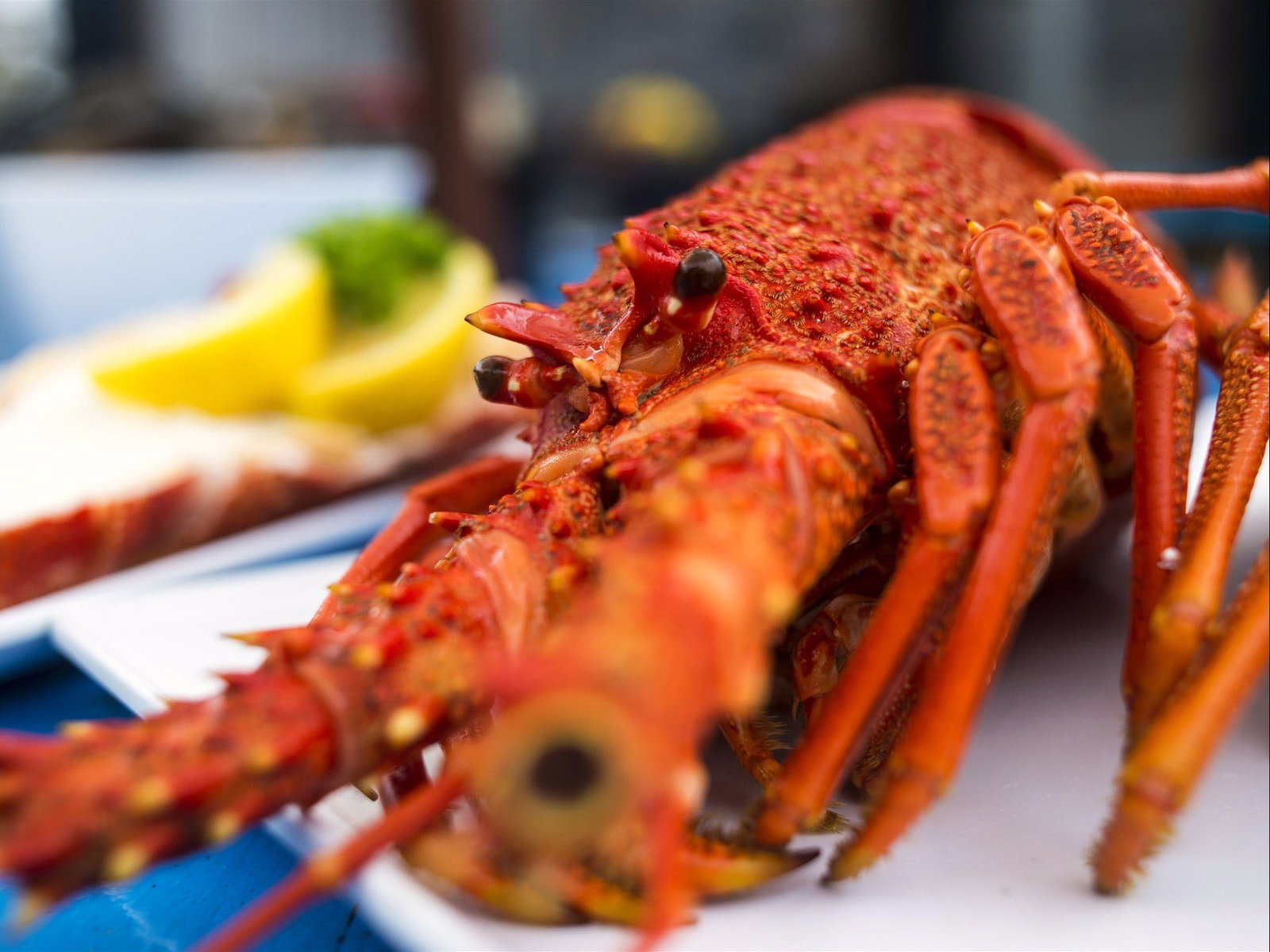 Coles Bay TAS Great Ocean Road Tourism