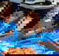 Northern Rivers Seafood - Great Ocean Road Tourism