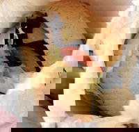 Post Office Cafe - Great Ocean Road Tourism