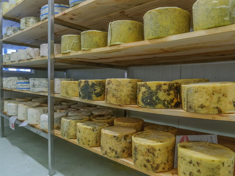 The Wicked Cheese Company - Great Ocean Road Tourism 2