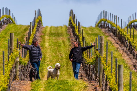 Tim Adams Wines - Great Ocean Road Tourism 2
