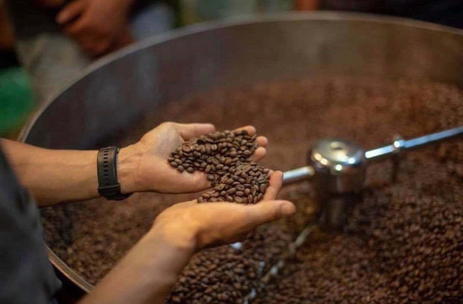 West Swan WA Great Ocean Road Tourism