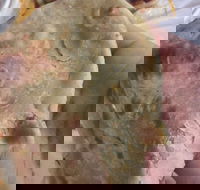 Zaika Tandoor - Great Ocean Road Tourism