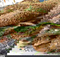 Bean Out - Great Ocean Road Tourism