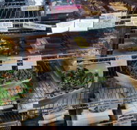 Haynes Street Larder - Great Ocean Road Tourism