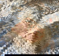 Mad Mex Fresh Mexican Grill - Great Ocean Road Tourism