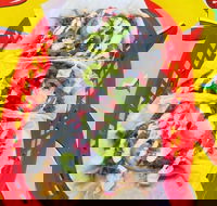 Muchacha - Narrabeen