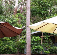 Rainforest Cafe - Great Ocean Road Tourism
